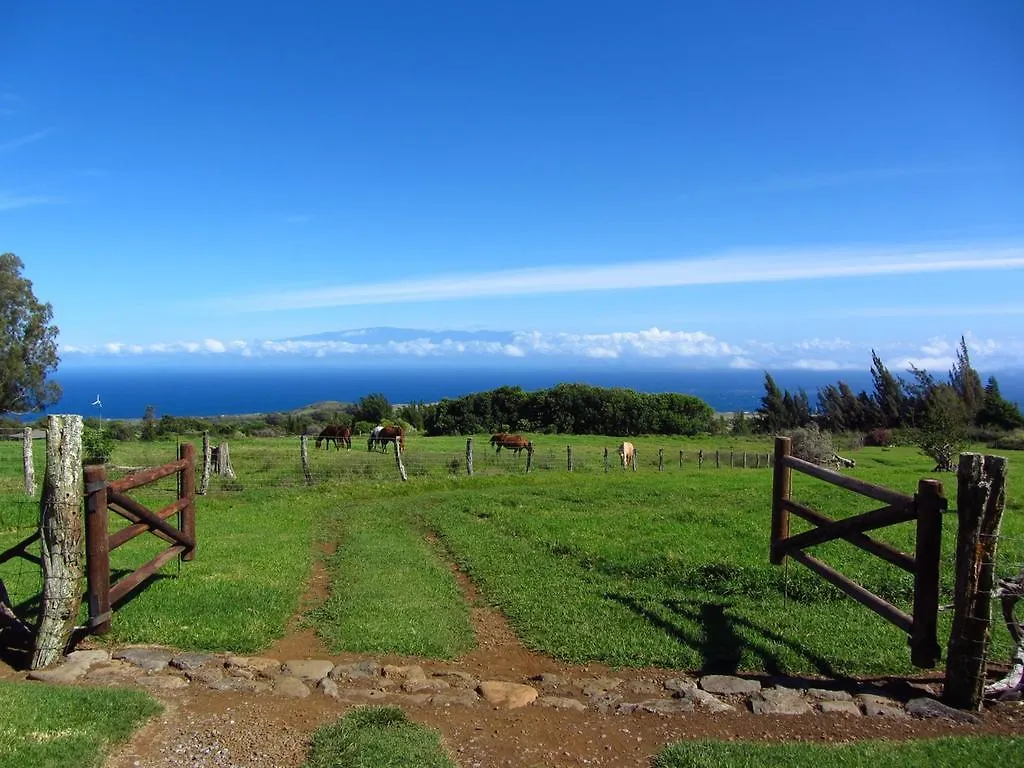 Kohala Lodge- Vacation Rental House Hawi
