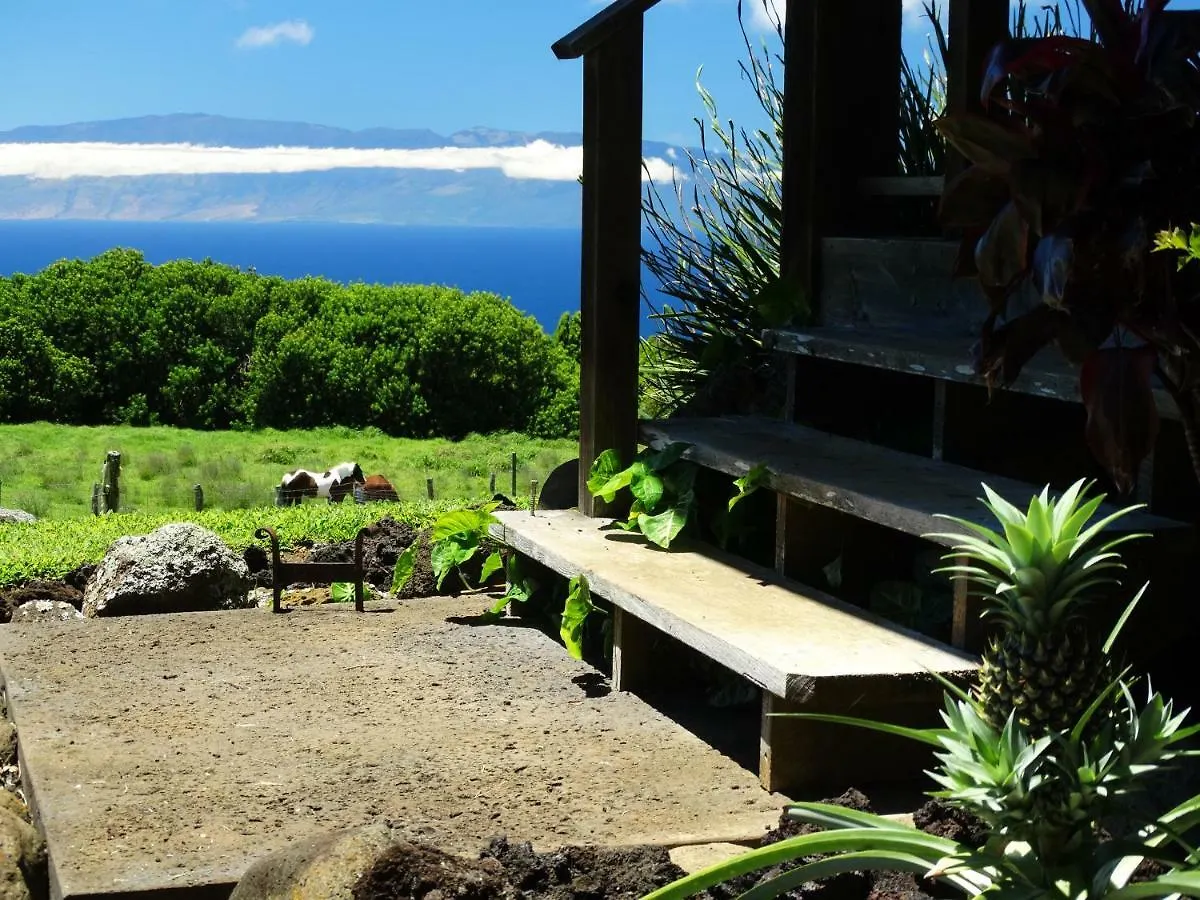 Tatil Evi Kohala Lodge- Vacation Rental House Hawi