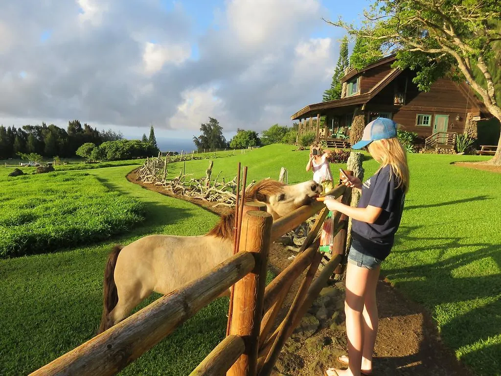 Kohala Lodge- Vacation Rental House Hawi